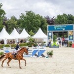 Springflut Festival 2026 - Tagesticket