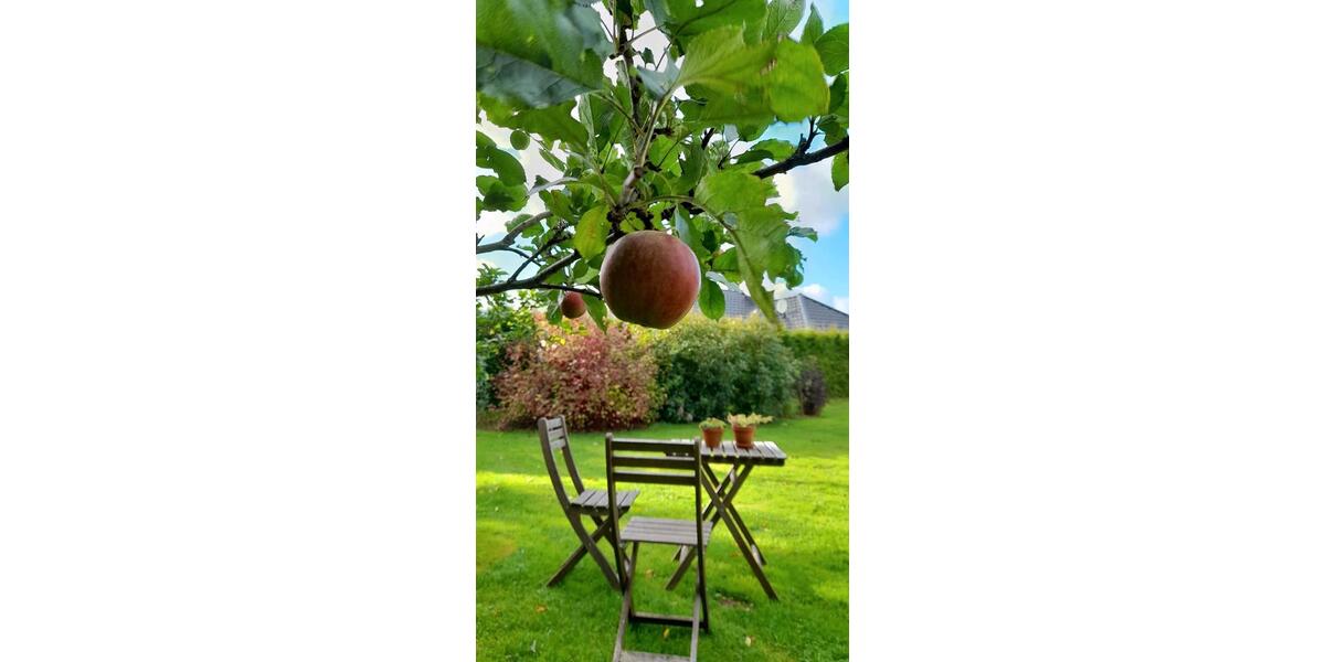 Einfamilienhaus Bergenhusen - 4 Zimmer, 139 m&sup2;, 429.000&euro; | Angebot:23498002