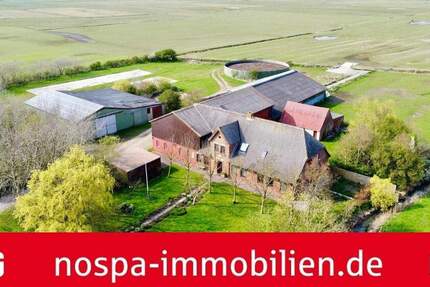 Haus Pellworm - 7 Zimmer, 172 m&sup2;, 349.000&euro; | Angebot:25672660