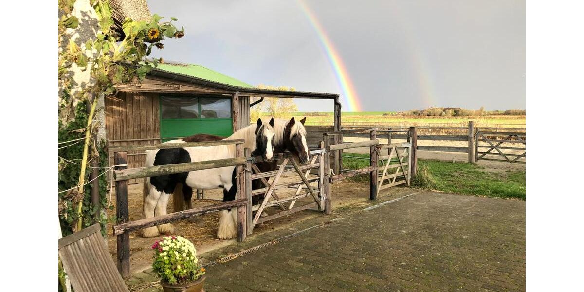 Mehrfamilienhaus, Wohnhaus Pellworm - 12 Zimmer, 350 m&sup2;, 1.750.000&euro; | Angebot:20561730