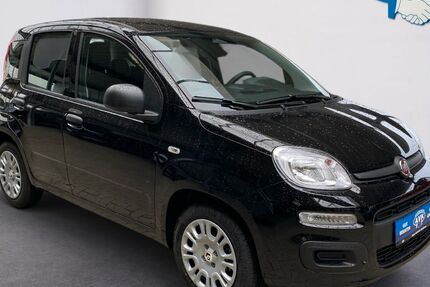 Fiat Panda 2.500 km 13.990 &euro; Husum 25813