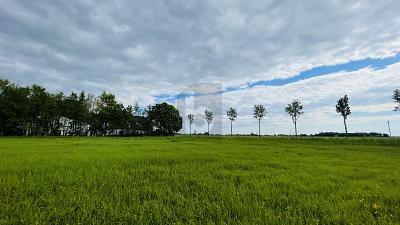 LEBEN IN DER NATUR AN DER NORDSEEKÜSTE - Grundstück Wesselburenerkoog | Angebot:25879779
