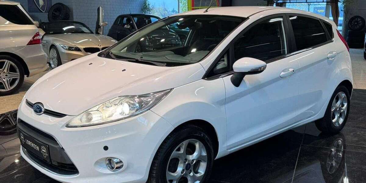 Ford Fiesta 194.865 km 1.995 &euro; Husum 25813