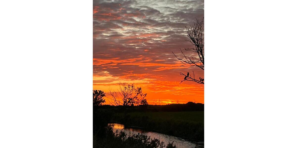 Einfamilienhaus Bergenhusen - 4 Zimmer, 139 m&sup2;, 429.000&euro; | Angebot:23498002