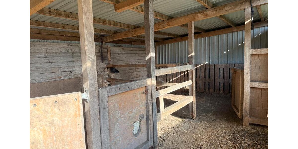 Einfamilienhaus Langenhorn - 4 Zimmer, 100 m&sup2;, 269.000&euro; | Angebot:25993108