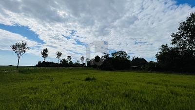 LEBEN IN DER NATUR AN DER NORDSEEKÜSTE - Grundstück Wesselburenerkoog | Angebot:25879779
