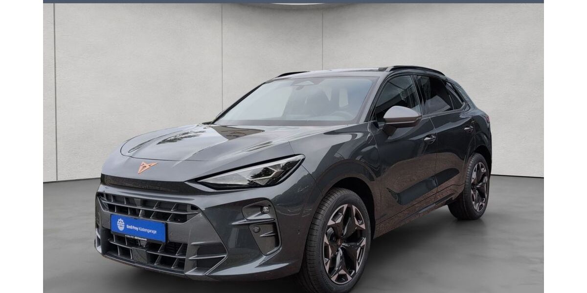 Cupra Terramar 1.500 km 46.980 &euro; Husum 25813