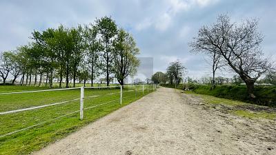 RESTHOF AM REITERHOF - Einfamilienhaus Oldersbek | Angebot:27337579