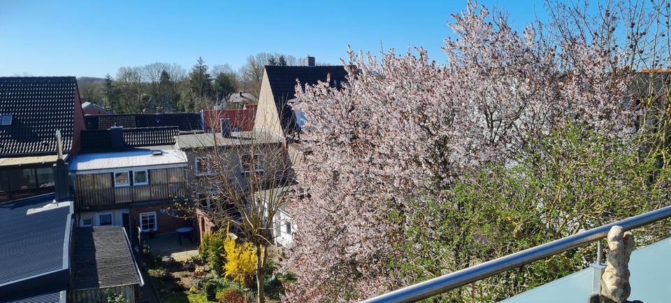 Einfamilienhaus Husum - 3 Zimmer, 87 m&sup2;, 330.000&euro; | Angebot:20623604